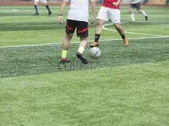 逆风翻盘,击败,败者组一路,九游娱乐平台,九游娱乐官方网站,九游娱乐登录入口,九游娱乐app下载