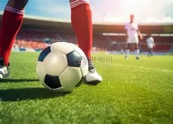 痛风缓解期,蘑菇食谱,低嘌呤蘑菇,九游娱乐平台,九游娱乐官方网站,九游娱乐登录入口,九游娱乐app下载