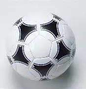 浙财男足勇,夺全国亚军,刷新省属高,九游娱乐平台,九游娱乐官方网站,九游娱乐登录入口,九游娱乐app下载