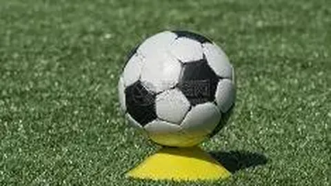 中国少儿足球联赛：足球巨星扶持少年足球梦想