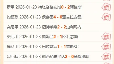 帕尔梅拉斯巴西甲霸主地位岌岌可危，16胜13负战绩引质疑风暴！